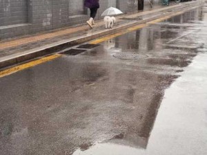 雨天出行，宝贝拒绝带伞怎么办？