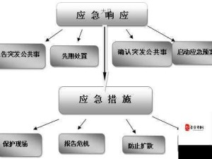 校园突发状况应对指南：如何有效管理压力与挑战