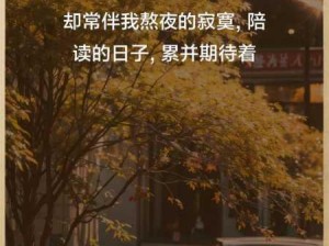 高考陪读故事第十章节选：陪读生活的点滴与感悟