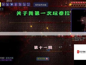 泰拉瑞亚花链球全面获取与实战应用攻略