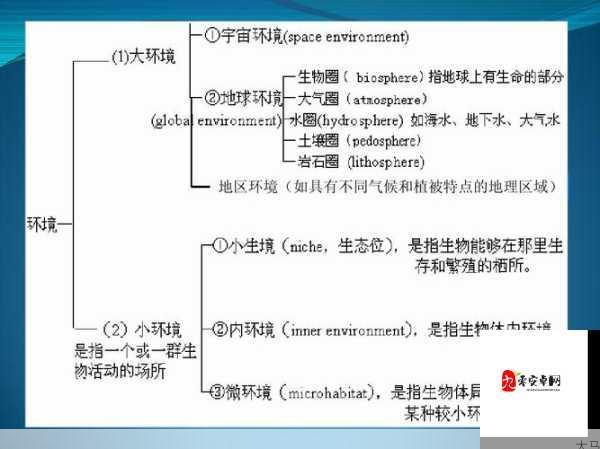 非洲大鸟的生态特征与栖息地研究