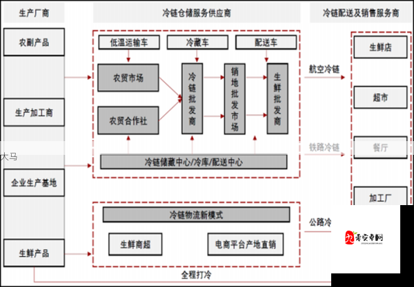 欧美禽类胶配方精选：全面解析与实用指南