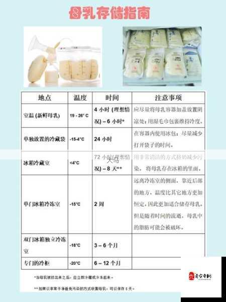 职场妈妈必备：高效使用吸奶器与母乳储存指南