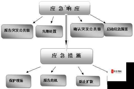 校园突发状况应对指南：如何有效管理压力与挑战