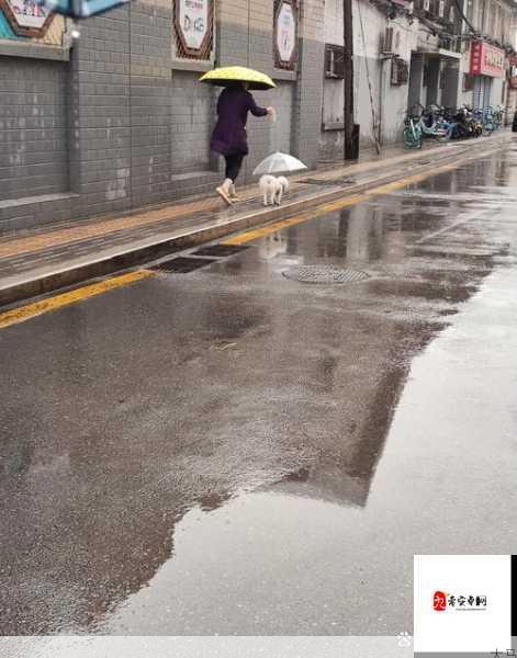 雨天出行，宝贝拒绝带伞怎么办？